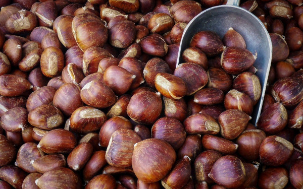 Κάστανο: Υψηλή ζήτηση σε μειωμένη παραγωγή 
