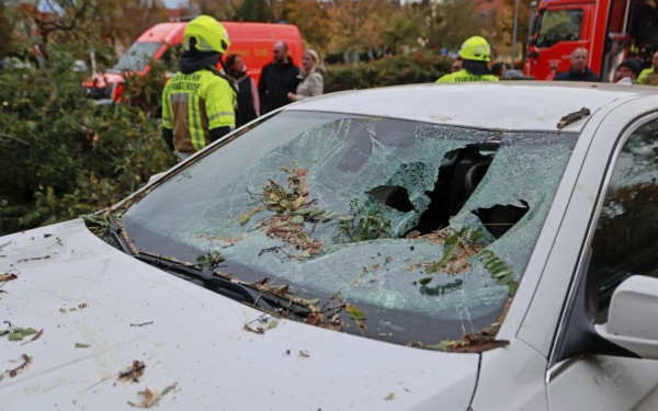 Στη δίνη της καταιγίδας «Ciaran» η Ευρώπη: Τουλάχιστον 10 νεκροί - Προβλήματα και στις μεταφορές (βίντεο)