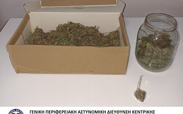 Πέλλα: Κατασχέθηκαν ποσότητες κάνναβης