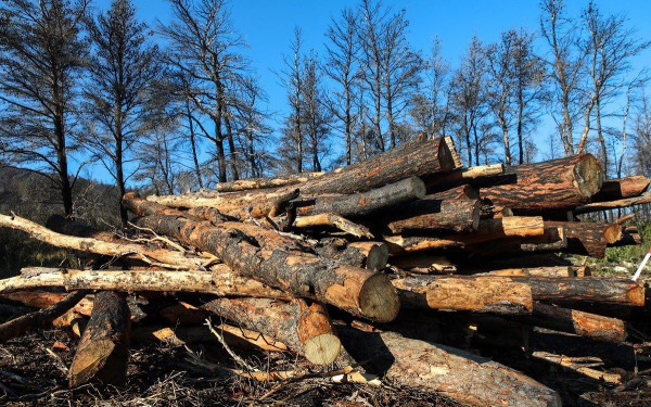Τι ισχύει για τη λιανική πώληση των καυσόξυλων