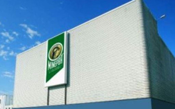 Ανοδική πορεία για τη ΜΙΝΕΡΒΑ το 2024 με αύξηση πωλήσεων και σημαντικές επενδύσεις