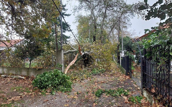 Χαλκιδική: Ανεμοστρόβιλος σάρωσε τα πάντα στην Ολυμπιάδα - Δείτε εικόνες