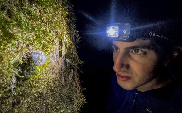 Ο Έλληνας ερευνητής που συνέβαλε στον εντοπισμό της έχιδνας του Ατένμπορο