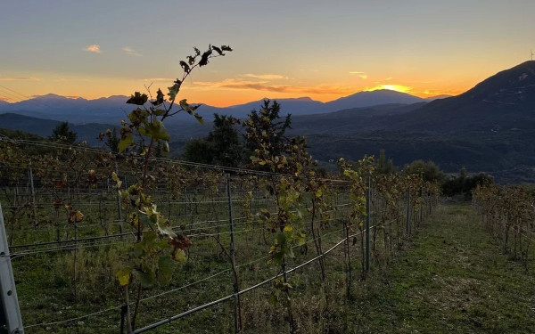 Προοπτικές και προκλήσεις για τον ηπειρώτικο και ορεινό τουρισμό στην Κεντρική Ελλάδα