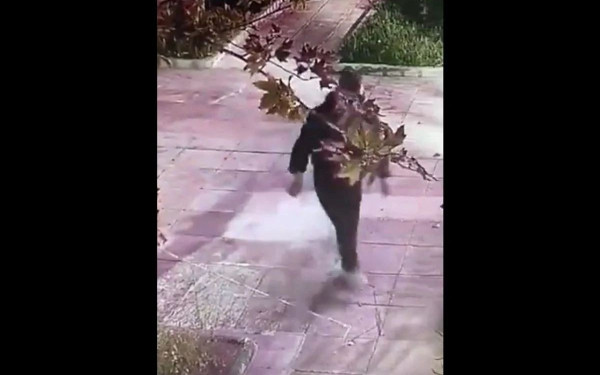 «Δράκος» των Εξαρχείων: Εισαγγελική έρευνα για μη τήρηση των περιοριστικών όρων