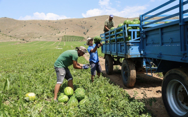 Φλώρινα: 5 κοινοί στόχοι Ελλάδας-Γερμανίας για βιώσιμη παραγωγή στη γεωργία (βίντεο)