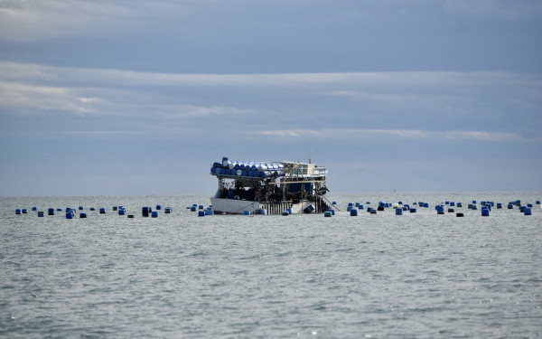 Πιερία: Τέσσερις συλλήψεις για παράνομη αλιεία μυδιών - Κατάσχεση σχεδόν δύο τόνων