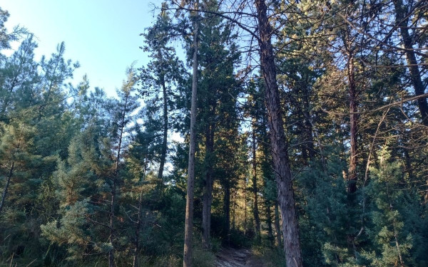 Θεσσαλονίκη: Αρχίζουν αεροψεκασμοί πάνω από το Σέιχ Σου