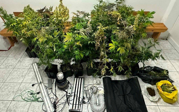 Χαλκιδική: Δύο συλλήψεις για ναρκωτικά - Εντοπίστηκαν πάνω από 10 κιλά κάνναβης και 33 δενδρύλλια