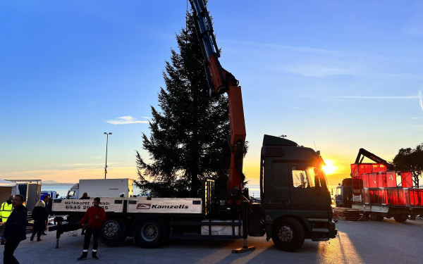 Θεσσαλονίκη: Στήθηκε το χριστουγεννιάτικο δέντρο στην πλατεία Αριστοτέλους (βίντεο, φωτ.)