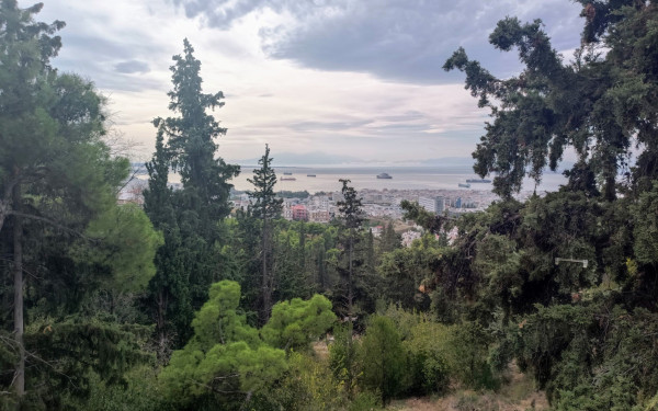 Θεσσαλονίκη: Αναβάλλονται οι αεροψεκασμοί στο Σέιχ Σου - Οι νέες ημερομηνίες