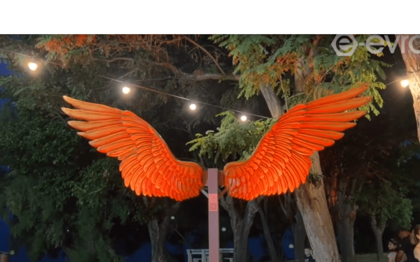 Αλεξανδρούπολη: Για ποιο λόγο οι γυναίκες θα βάλουν μαύρα ρούχα, λευκές μάσκες & τα φτερά της Νίκης; (βίντεο)