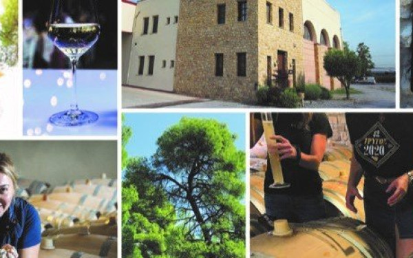 Ερευνητικό έργο από το οινοποιείο ΚΕΧΡΗΣ