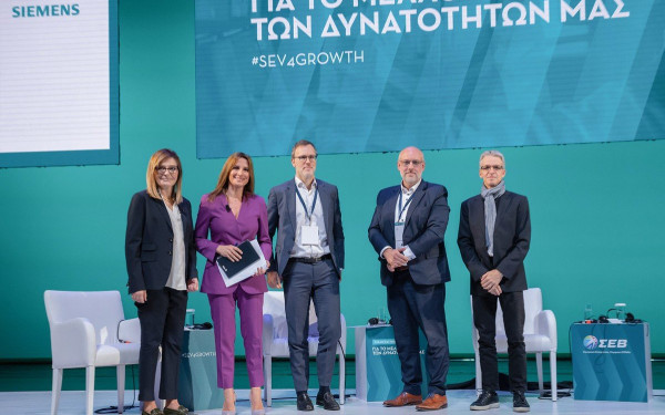 Ασημίνα Τζίκα: Οι προκλήσεις για την ελληνική βιομηχανία αλουμινίου 