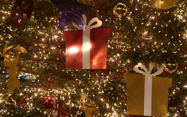 Πέλλα: Άναψε το χριστουγεννιάτικο δέντρο στα Γιαννιτσά (βίντεο, φωτ.) Πέλλα: Άναψε το χριστουγεννιάτικο δέντρο στα Γιαννιτσά (βίντεο, φωτ.)