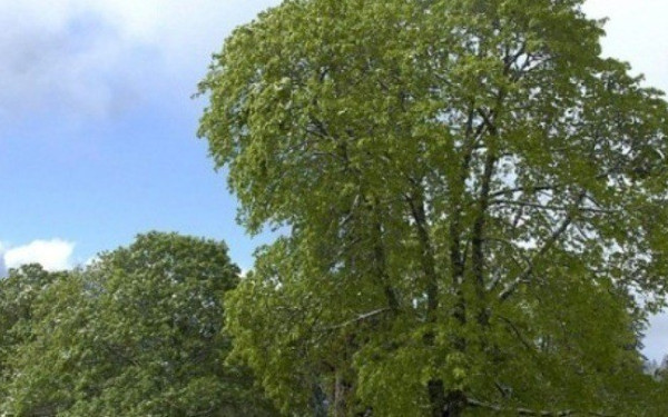 ΕΚΤ: «Φωνάζουν» για την  οικολογική τους ταυτότητα οι τράπεζες που δανείζουν περισσότερο τις βιομηχανίες που ρυπαίνουν