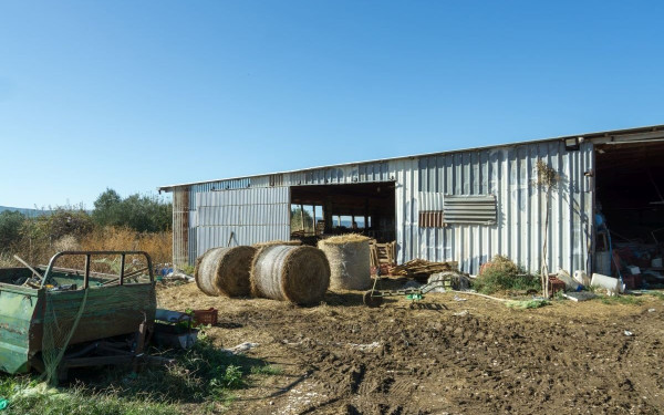 Διαχειριστικά Σχέδια Βόσκησης: Ποιες περιφέρειες απάντησαν θετικά και ποιες αρνητικά