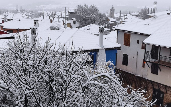 Χαλκιδική: Λευκό τοπίο και στην Αρναία (βίντεο, φωτ.)