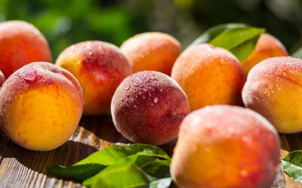 TasteAtlas: Στην κορυφή του κόσμου τα φημισμένα ροδάκινα Νάουσας