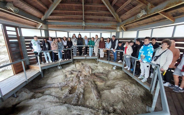 Εντυπωσιάστηκαν Τούρκοι μαθητές από το Μουσείο Φυσικής Ιστορίας Απολιθωμένου Δάσους στη Λέσβο