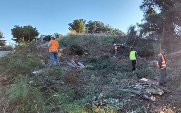 Flyover: Αναβλήθηκε η εξέταση από το ΣτΕ της προσφυγής για την υλοτόμηση