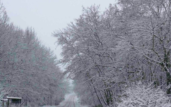 Αγριεύει το σκηνικό του καιρού: Τσουχτερό κρύο και έντονες βροχές - Πού θα χιονίσει