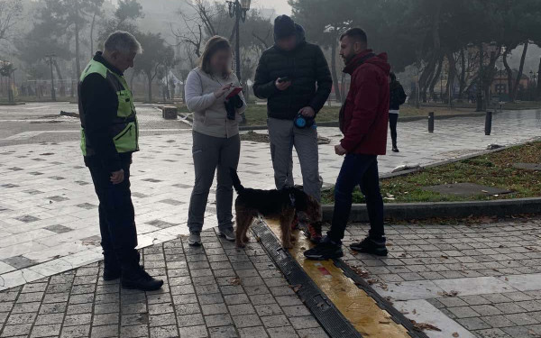 Θεσσαλονίκη: «Σαφάρι» της αστυνομίας και πρόστιμα σε ιδιοκτήτες κατοικίδιων