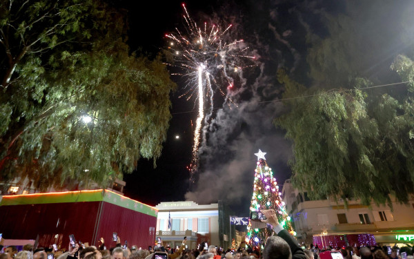 Έκκληση φιλόζωων προς τους Δήμους: «Περιορίστε τα πυροτεχνήματα, κινδυνεύουν τα ζώα»