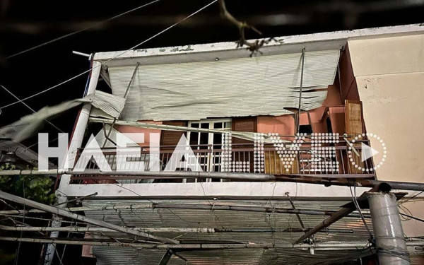 Σάρωσε δυτική Ελλάδα και Αττική το μπουρίνι: Πτώσεις δέντρων και ζημιές σε αυτοκίνητα (φωτ.)