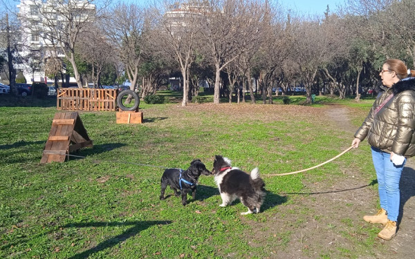 Θεσσαλονίκη: Στην Καλαμαριά το πρώτο πάρκο σκύλων με ανακυκλώσιμα υλικά 