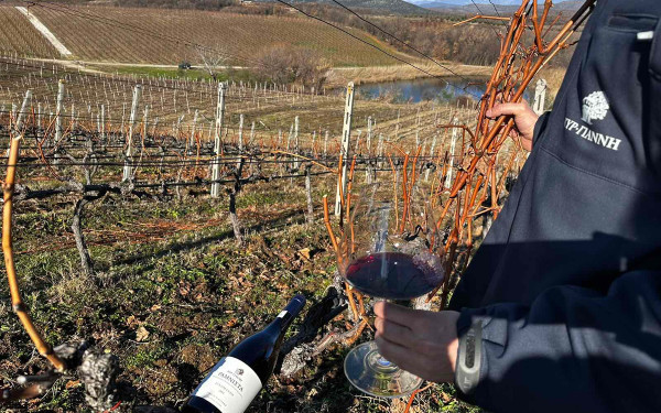 Το Κτήμα Κυρ - Γιάννη γιορτάζει τη «Νάουσα, Πόλη του Οίνου»