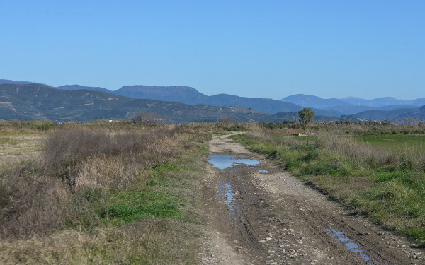 Μεσολόγγι: Τι έδειξε η ιατροδικαστική εξέταση του Μπάμπη