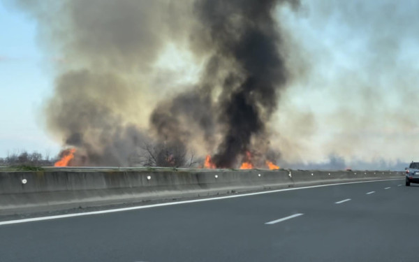 Ημαθία: Φωτιά δίπλα στην Εθνική Οδό - Δείτε βίντεο