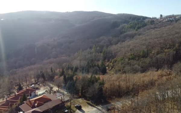 Στα δάση του Χολομώντα: Η μαγεία του ορεινού όγκου της Χαλκιδικής από ψηλά (βίντεο)