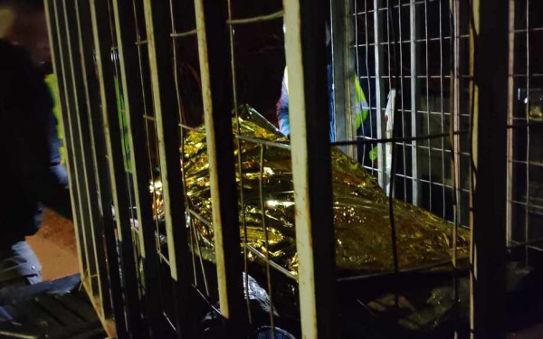 Θεσσαλονίκη: Σύγκρουση αυτοκινήτου με αγριογούρουνο - Δείτε φωτογραφίες