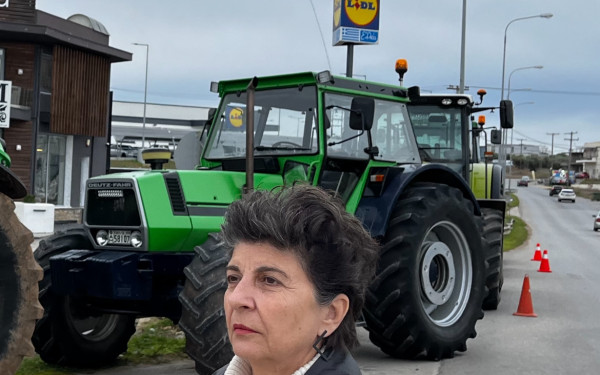 Κ. Μάλαμα: Απαράδεκτες καθυστερήσεις στις αποζημιώσεις των βερυκοκοπαραγωγών της Χαλκιδικής.