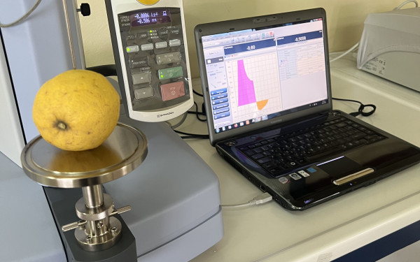 Ερευνητές σκιαγραφούν το DNA των εσπεριδοειδών για να διασώσουν και να δημιουργήσουν ποικιλίες