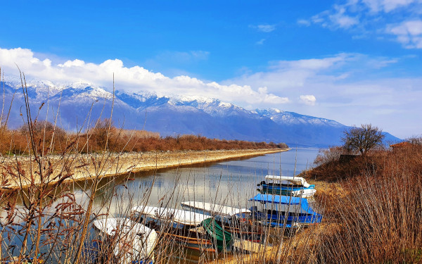 Σέρρες: Παιδιά και νέοι καθάρισαν τη λίμνη Κερκίνη - Δείτε φωτογραφίες