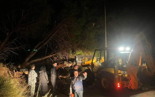Ανεμοστρόβιλος ξεριζώνει κλαδιά από δέντρα στη Ρόδο - Δείτε βίντεο