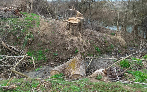 Μυλόπουλος: Ερώτηση για τον αντιπλημμυρικό σχεδιασμός στον ποταμό Αγγίτη