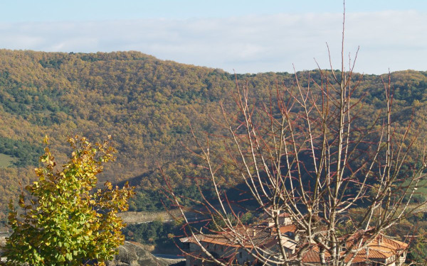 «Thessaly Evros Pass»: Πρόγραμμα 4.45 εκατ. ευρώ για την οικονομική στήριξη των περιοχών της Θεσσαλίας και του Έβρου