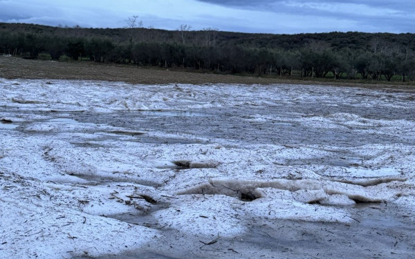Δήμος Δίου-Ολύμπου: Πότε λίγει η υποβολή αιτήσεων για αποζημίωση ιδιοκτητών κατοικιών/επιχειρήσεων από την κακοκαιρία
