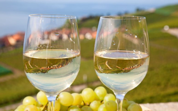 Τα ελληνικά κρασιά «σαρώνουν» τις αγορές του κόσμου - Ανησυχία για τις φθηνές εισαγωγές