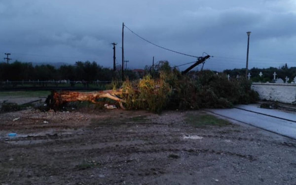 Ανεμοστρόβιλος «χτύπησε» το Μεσολόγγι - Ζημιές και εκτεταμένη διακοπή ρεύματος (φωτ.)