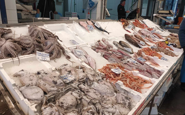 Στο στόχαστρο της ακρίβειας τα ψάρια και τα θαλασσινά - Πόσο κοστίζουν (βίντεο)