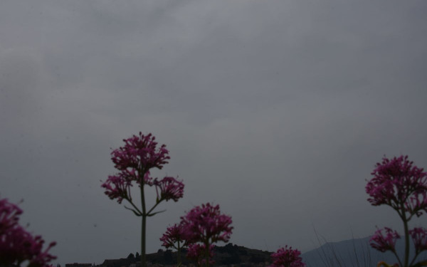 Αφρικανική σκόνη καλύπτει τη χώρα: Ποιες περιοχές «πνίγονται» - Πότε καθαρίζει η ατμόσφαιρα (χάρτες)