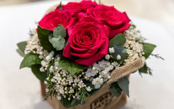 Ανθοπωλείο Πανταζή: Ένας κόσμος φρεσκάδας και ομορφιάς, με ιστορία πολλών δεκαετιών