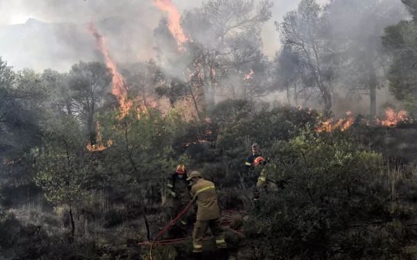 Μεγάλη φωτιά βρίσκεται σε εξέλιξη στην Κατερίνη - Καίγονται πεύκα στα Πιέρια Όρη