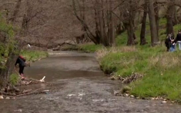 Φλώρινα: Δράση καθαρισμού ρέματος στο κέντρο προστασίας λύκου από τον Αρκτούρο