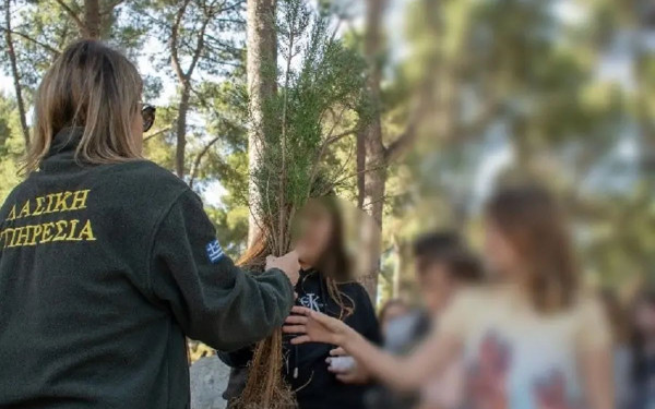 Χαλκιδική: Δεντροφύτευση στην κατασκήνωση του ΑΠΘ στο Ποσείδι από δημοτικά σχολεία